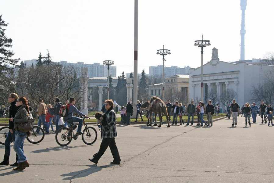 Moskou 2010 - 412